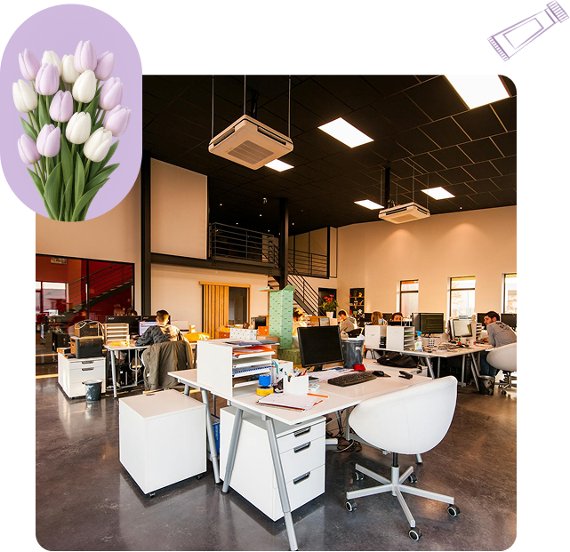 Elevate Your Workplace​